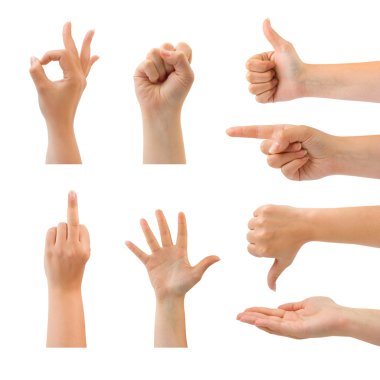 Set of gesturing hands clipart