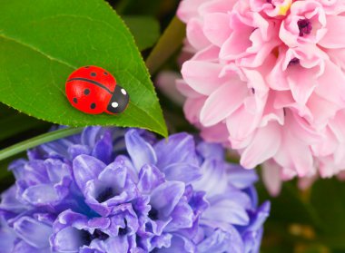 oyuncak, ladybug ve çiçekler