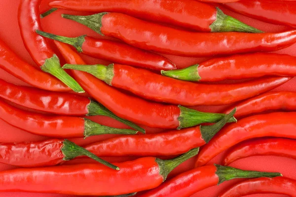 Red hot chili pepper background — Stock Photo, Image