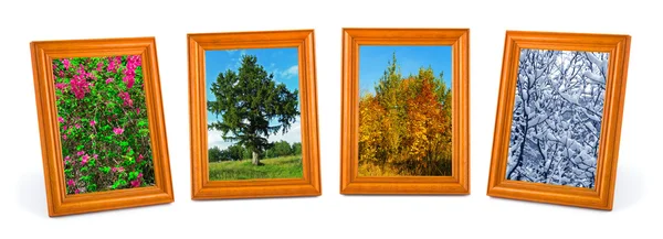 Four seasons (my photos) — Stock Photo, Image
