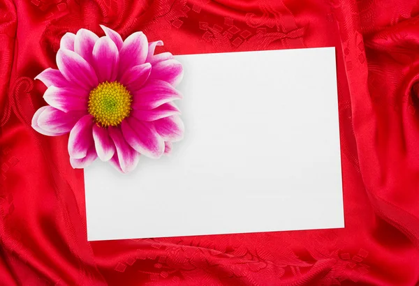 Grußkarte und Blume auf rotem Kl — Stockfoto