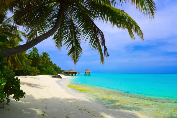 Vodní bungalovy na pláži tropického isl — Stock fotografie