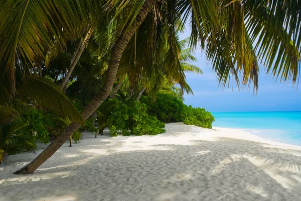 Mar y playa tropical — Foto de Stock