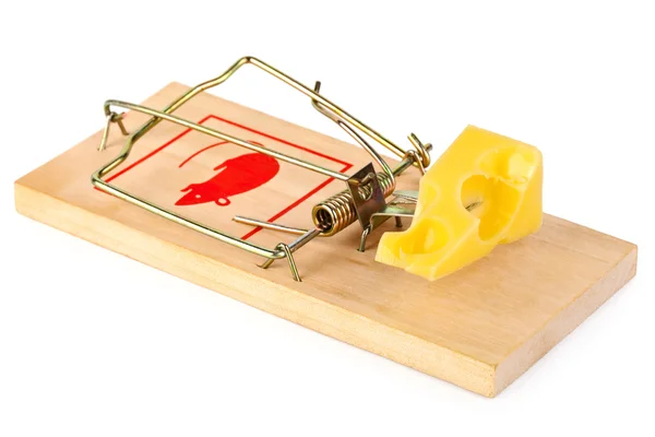Mousetrap and cheese — Stock Photo, Image