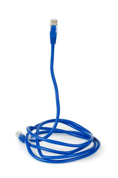 Počítačové kabel jako had - internetové s — Stock fotografie