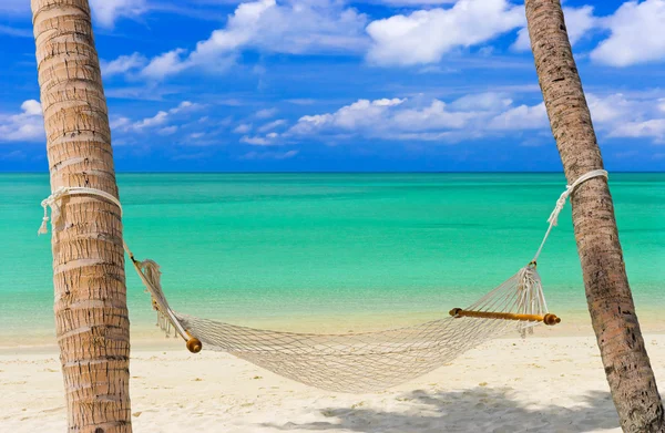 热带海滩上吊床 免版税图库图片
