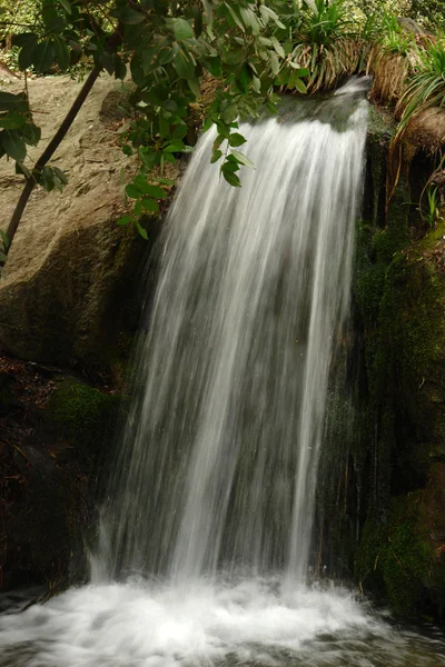 Stock image Water falling