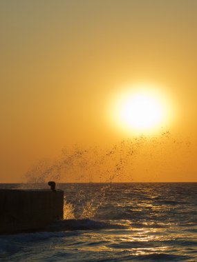 gün batımı splash