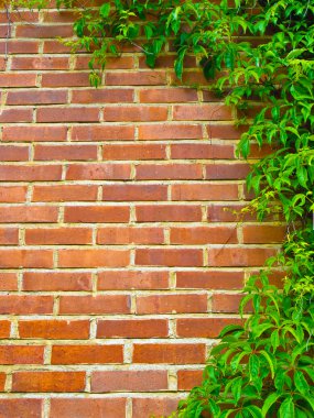 Brick wall background clipart