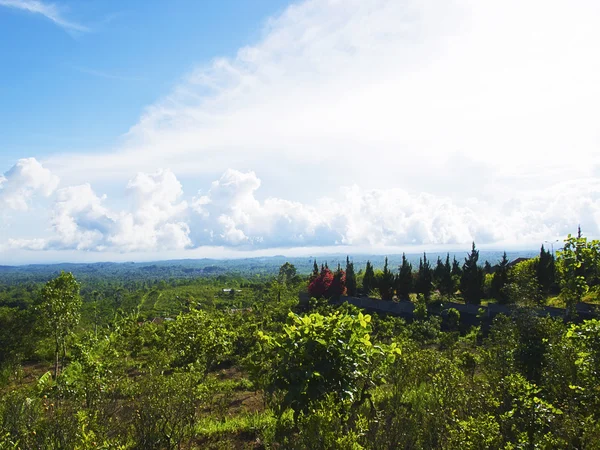 stock image Bali landscape