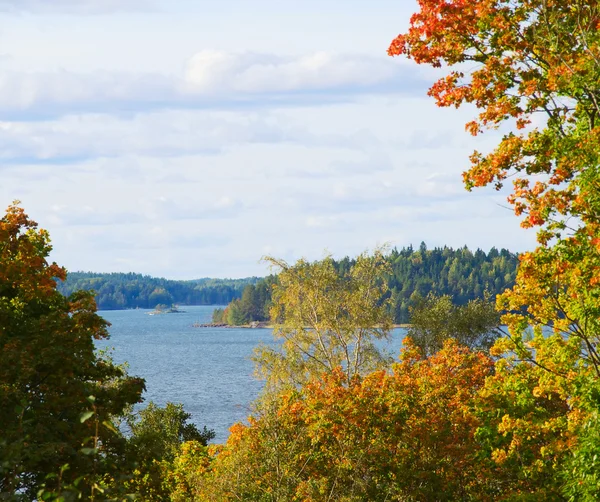 stock image Autumnal landscape