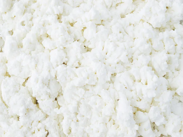 stock image Cottage cheese close-up