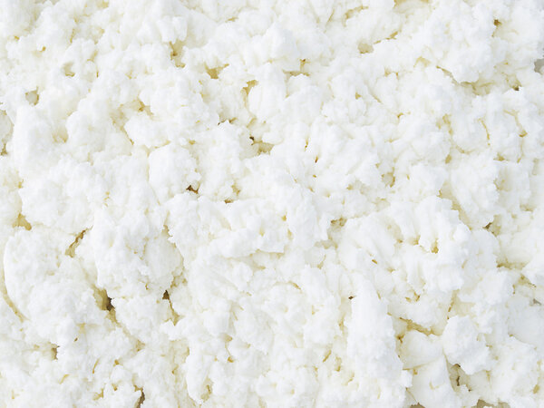 Cottage cheese close-up