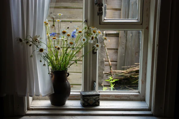 Field flowers in a jug at a window — Stock Photo, Image
