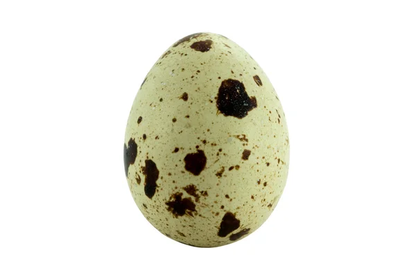 Huevo — Foto de Stock