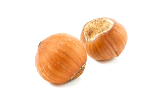 Hazelnut — Stock Photo, Image
