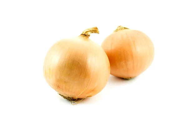 stock image Onion