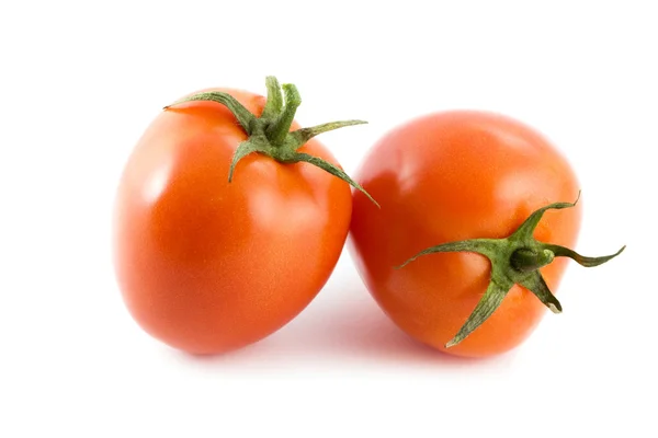 Tomater Royaltyfria Stockfoton