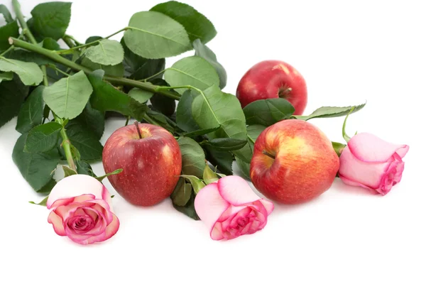 Roses et pommes rouges — Photo