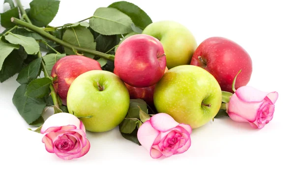 Růže a jablka — Stock fotografie