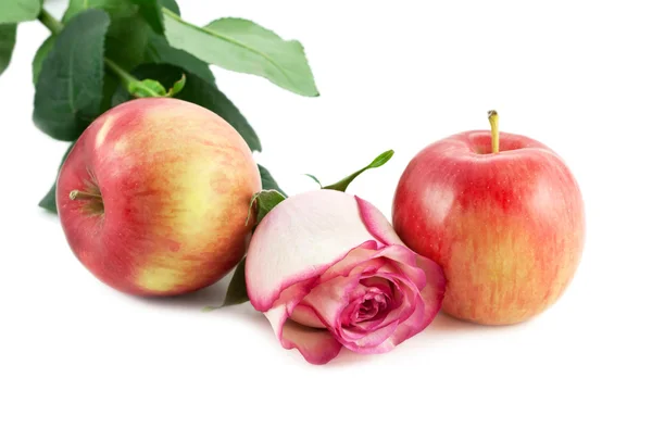 Rosa e maçãs — Fotografia de Stock
