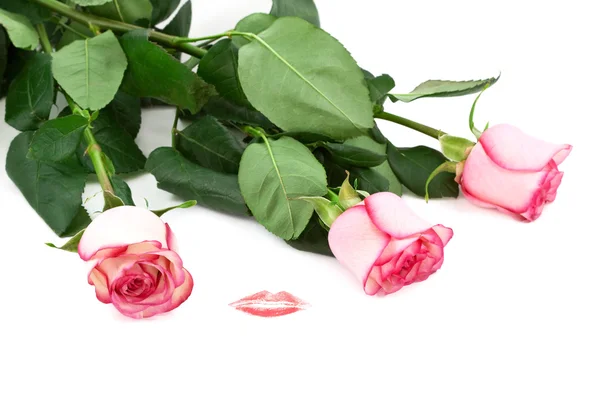 Roses and kiss — Stock Photo, Image