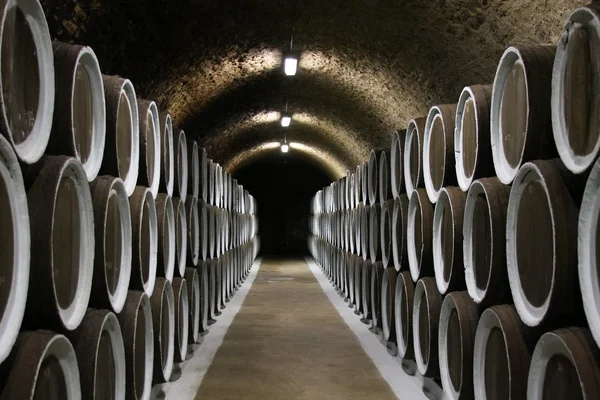 stock image Wine cellar