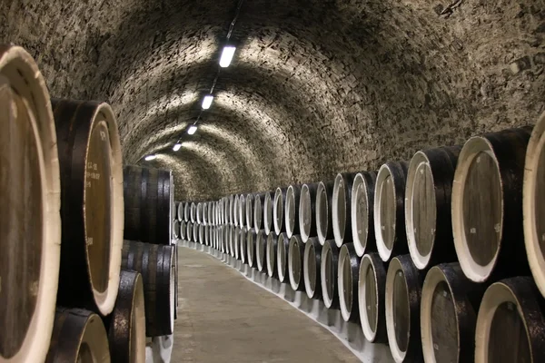 stock image Wine cellar