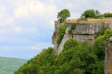 ağaç üstünde belgili tanımlık tepe-in bir uçurum