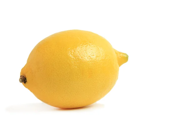 Stock image One lemon isolated