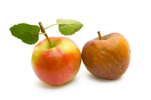 Спелое и гнилое яблоко — стоковое фото