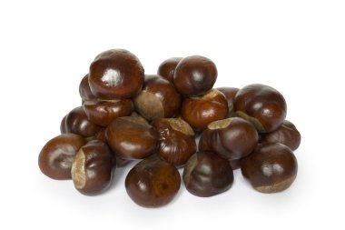 Chestnut clipart