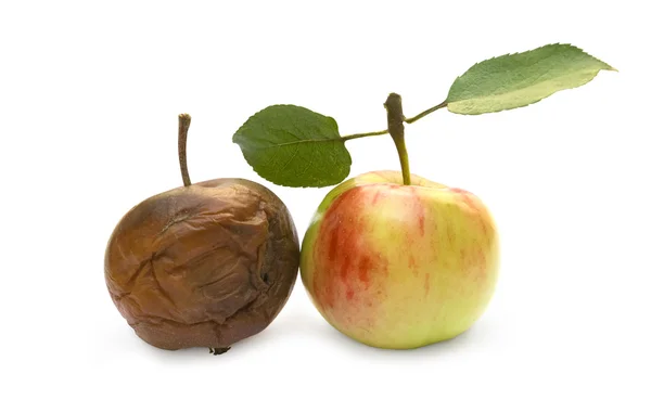 Zralé a shnilé jablko — Stock fotografie