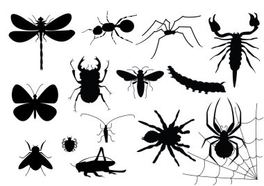 Insects clipart