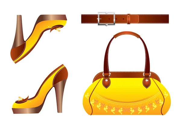 Zapatos y bolsa para mujer.Eleganse — Vector de stock