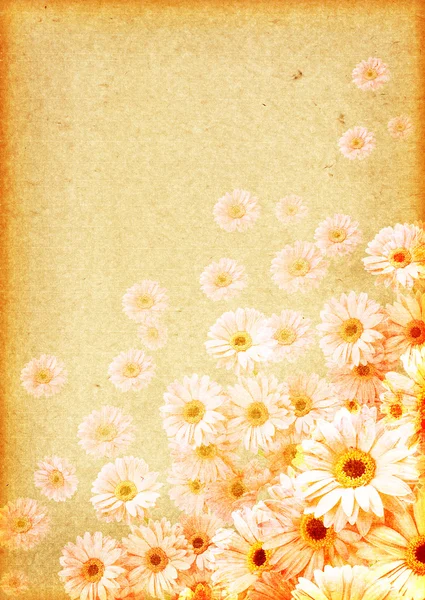 古いグランジ花の背景 — ストック写真