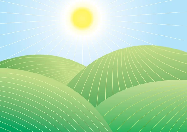 Vector landscape in sun day — Stock Photo, Image