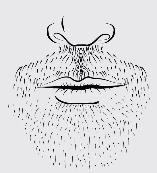 Barba . — Foto de Stock