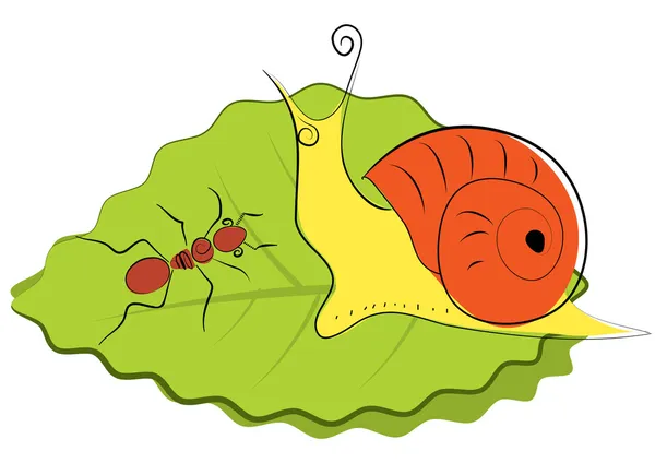 Vector snail and ant on green leaf.Insec — Stock Photo, Image