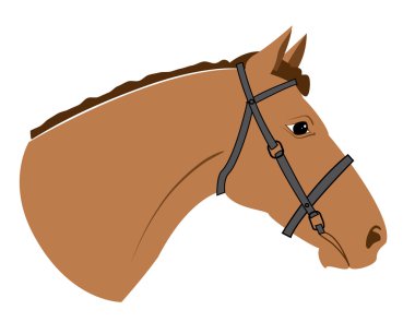  head of horse clipart