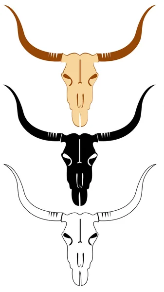 牛の頭蓋骨 — ストック写真