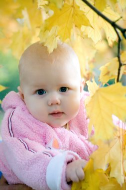 Autumn baby clipart