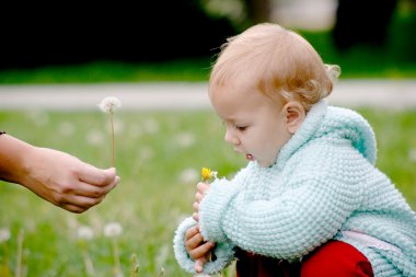 Giving a dandelion clipart