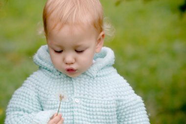 Bebek Dandelion parlak