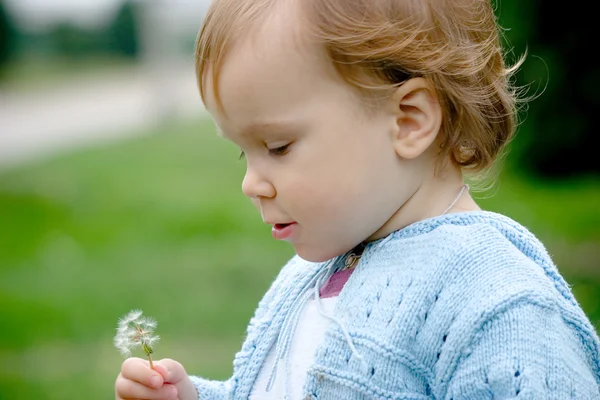 tatlı bebek tutan karahindiba