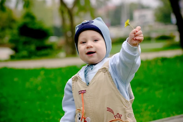 Dítě chlapec dává Pampeliška — Stock fotografie