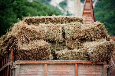 Hay in lorry clipart