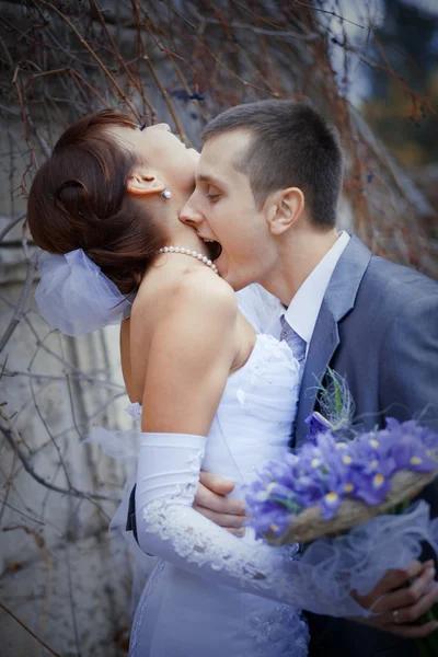 Leidenschaft für die Hochzeit — Stockfoto