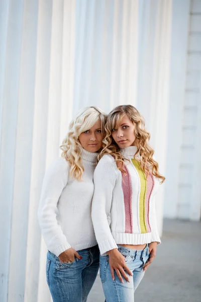 Jovens irmãs adultas — Fotografia de Stock