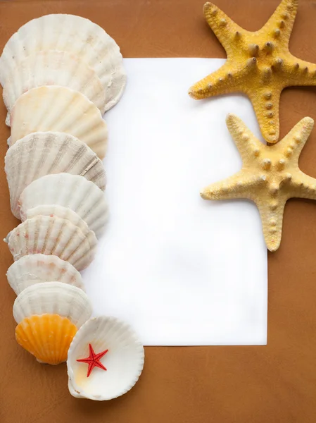 Moldura com Seashells — Fotografia de Stock